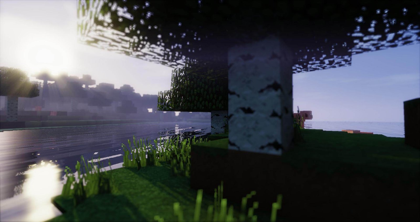 Background f9585740658922027ac082c24fc997b33b8b9a8d42199f418052ff6577b9134f